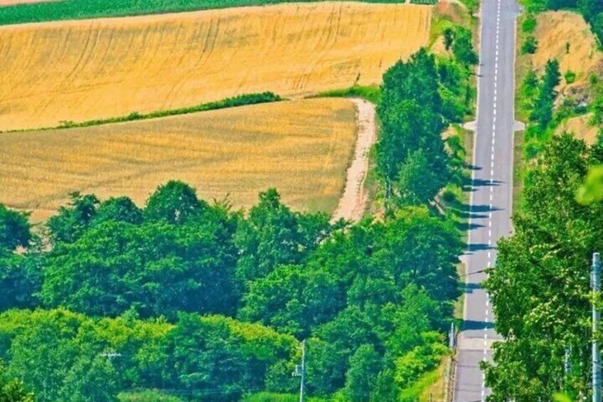 Road to the roller coaster that brings visual impact