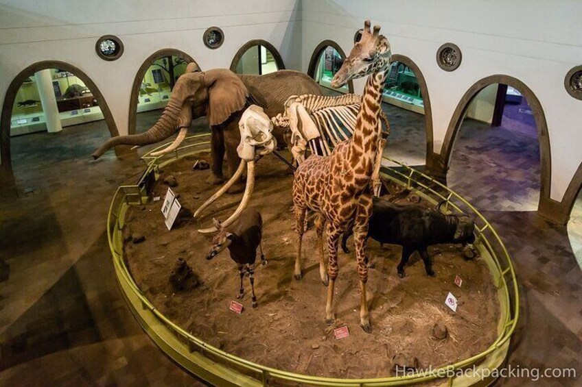 Nairobi Airport Layover Tour to Nairobi National Museum