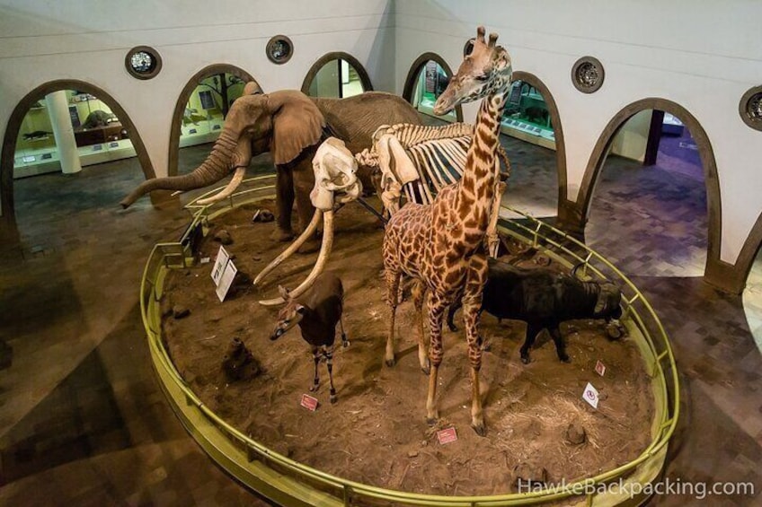 Nairobi Airport Layover Tour to Nairobi National Museum
