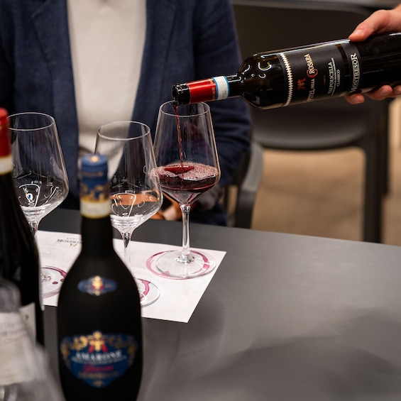 Valpolicella Wine Museum: E-bike rental with App and Tasting