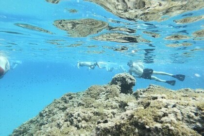 Guided Snorkeling Excursion in Malta