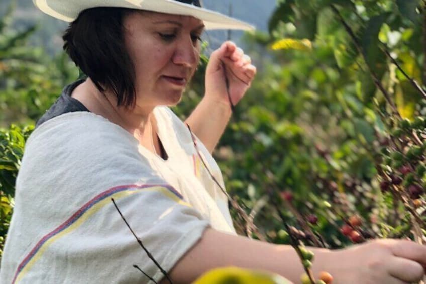 Coffee Tour with Cable Car in Medellin 