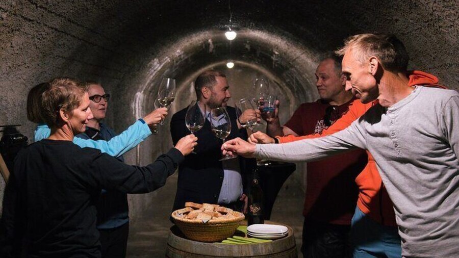 Wine Tasting in the Underground Fortress, Idrija hills