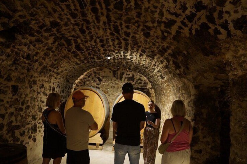 Champagne Cellar Historical Tour and Tasting in France