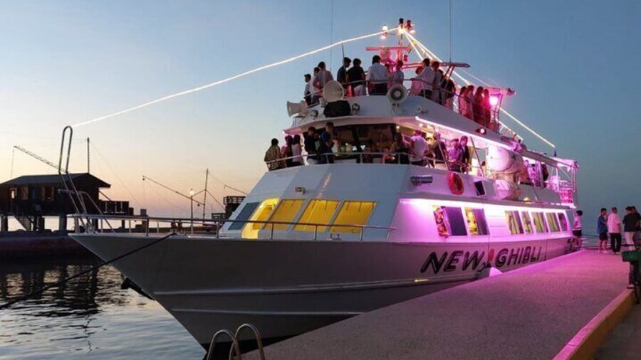 New Ghibli
