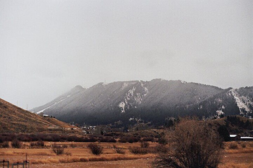 Private Tour Grand Teton National Park