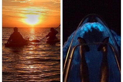 Sunset Bio in Clear Kayaks - Cocoa Beach