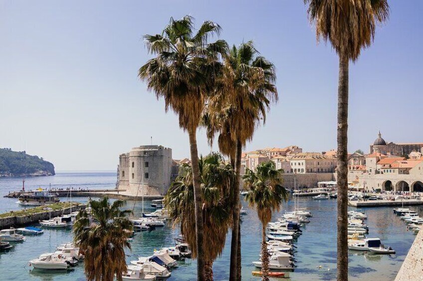 From Budva: Dubrovnik Medieval Highlights Day Trip