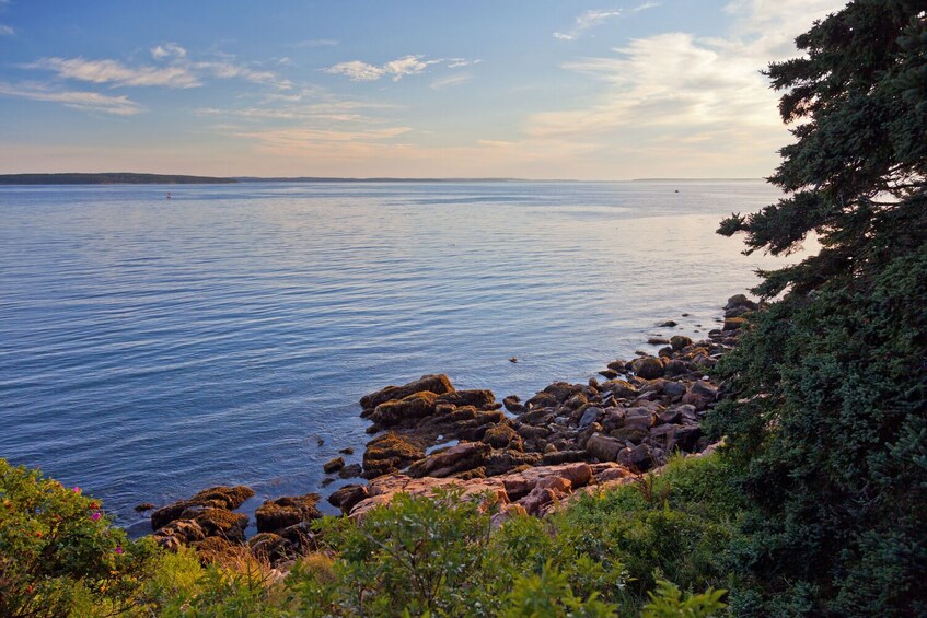 Acadia Mount Desert Island: Self-Guided Driving and Walking Tours Bundle