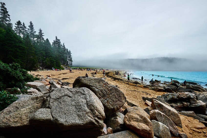 Acadia Mount Desert Island: Self-Guided Driving and Walking Tours Bundle