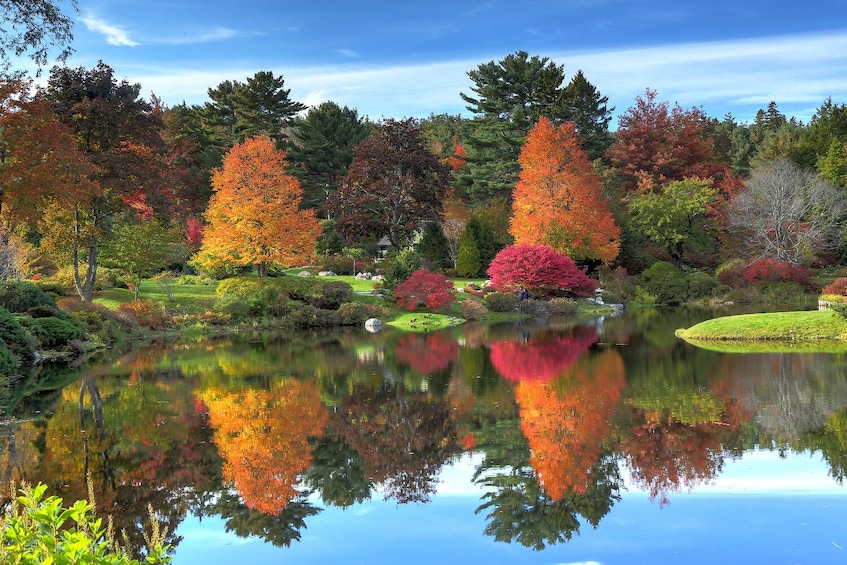 Acadia Mount Desert Island: Self-Guided Driving and Walking Tours Bundle