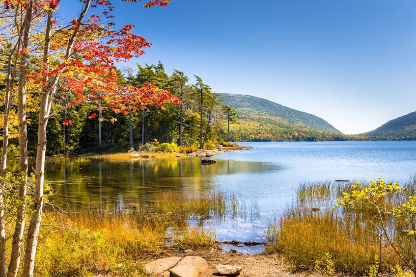 Acadia Mount Desert Island: Self-Guided Driving and Walking Tours Bundle