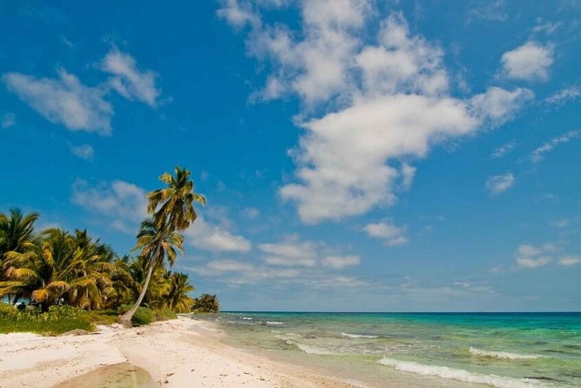 Picture 5 for Activity Placencia: Snorkel & Island Experience at Laughing Bird Caye