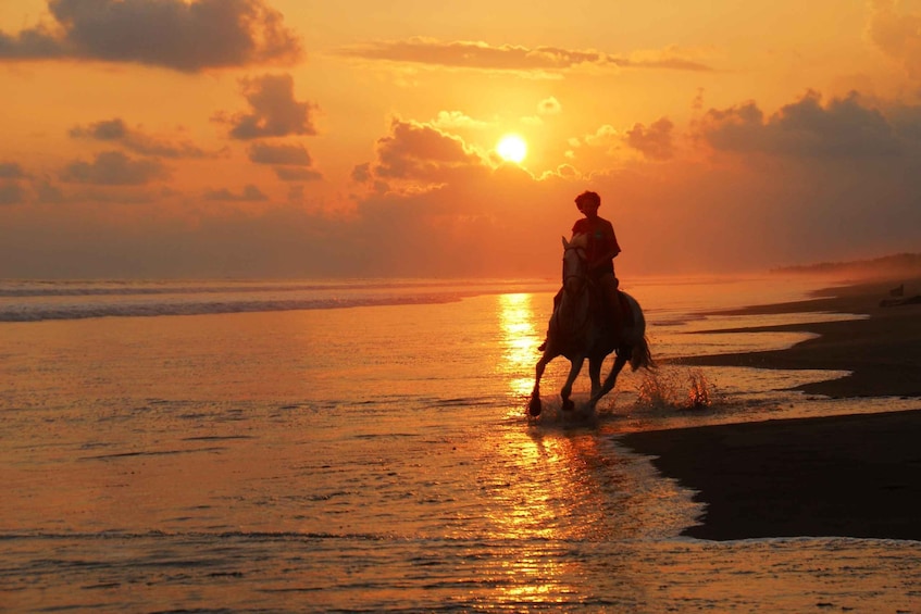 Picture 8 for Activity Esterillo Este: Personalized Beach Horseback Adventure