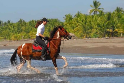 Esterillos Este: Personalized Beach Horseback Adventure