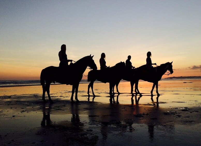 Picture 6 for Activity Esterillo Este: Personalized Beach Horseback Adventure