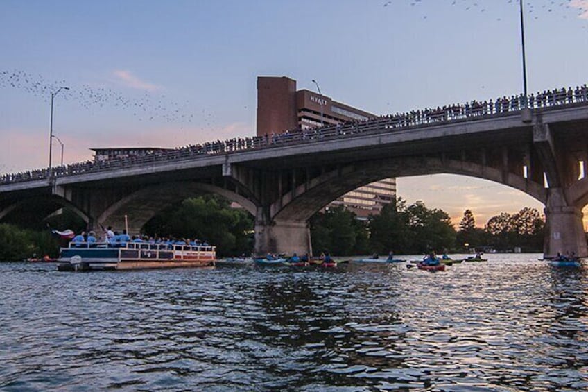 ATX Sunset and Bat Watching Clear Kayak Tour