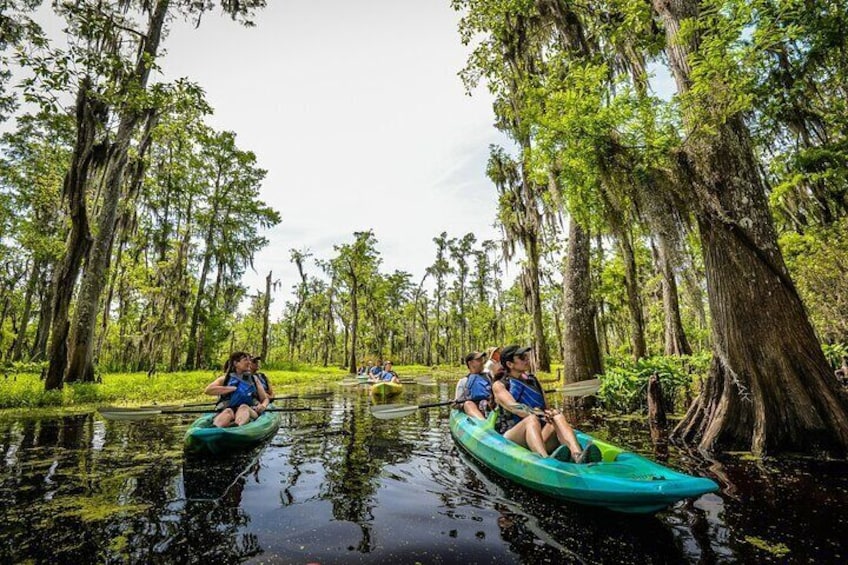 Plantation and Kayak Swamp Tour Adventure