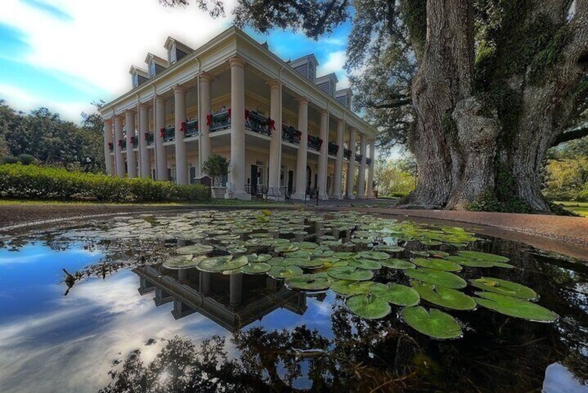 Plantation and Kayak Swamp Tour Adventure