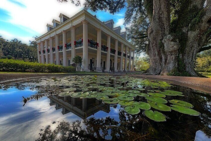 Plantation and Kayak Swamp Tour Adventure