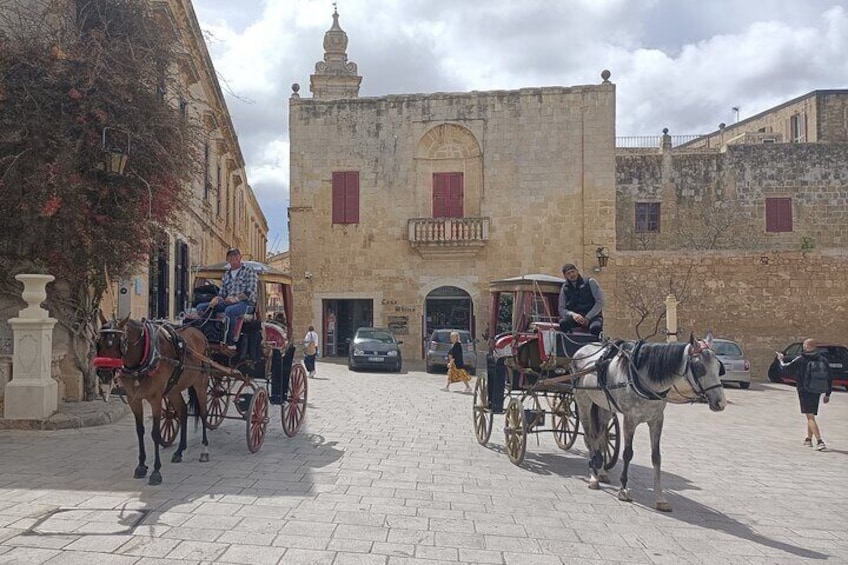 Full Day Private Tour in Valletta, Mdina, Rabat and Dingli Cliffs