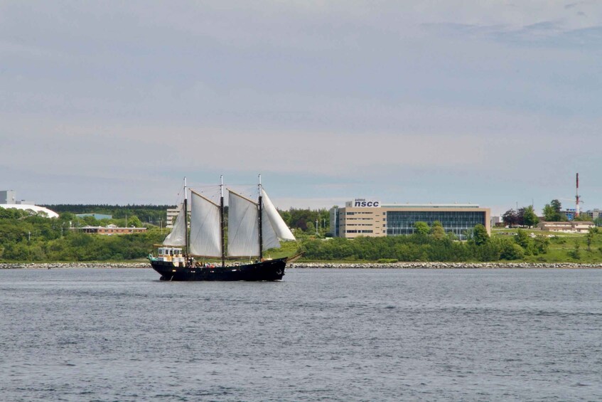 Picture 5 for Activity Halifax: 2-Hour Tall Ship Harbor Sailing Cruise