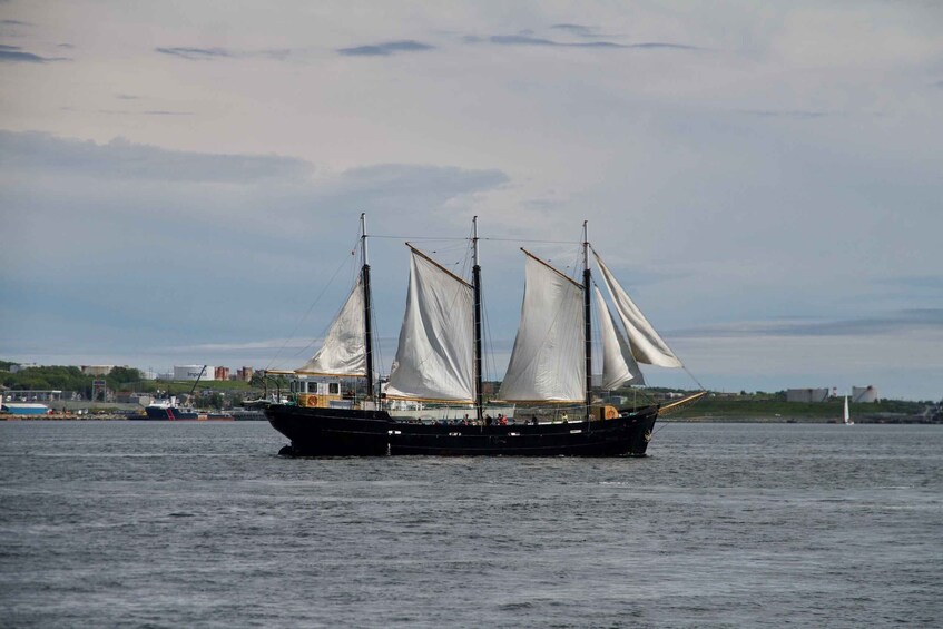 Picture 2 for Activity Halifax: 2-Hour Tall Ship Harbor Sailing Cruise