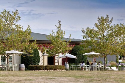 Dominique Portet: Le Tour de Rosé