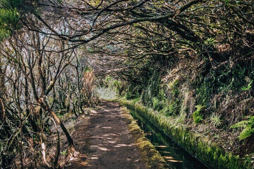 Lakes of Madeira Island Walk