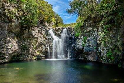 Lakes of Madeira Island Walk