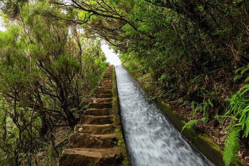 Lakes of Madeira Island Walk