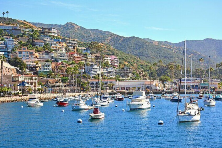 Private Tour of Avalon from Catalina Island