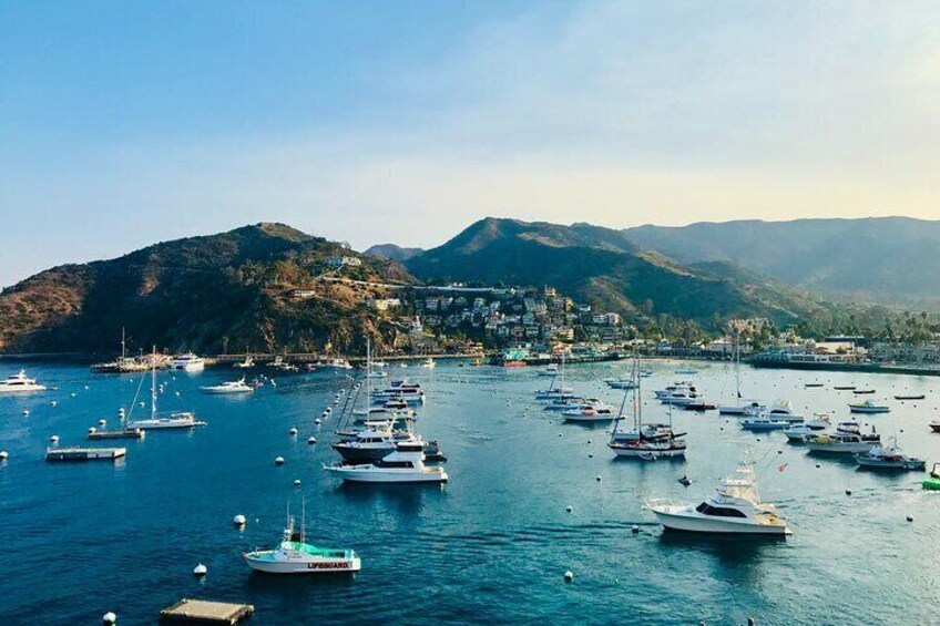 Private Tour of Avalon from Catalina Island