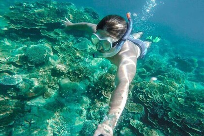 Cala Gonone Snorkelling in the Orosei Gulf