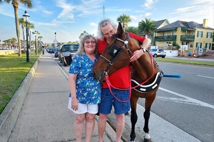 Horse Drawn Carriage Tour of Saint Augustine