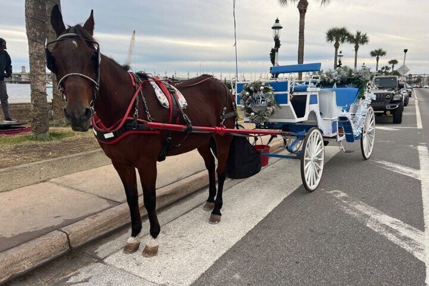 Horse Drawn Carriage Tour of Saint Augustine