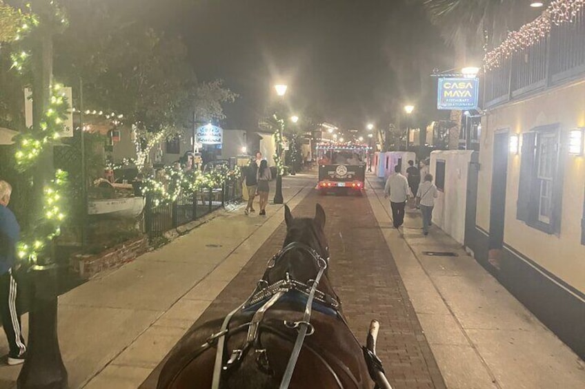Horse-Drawn Carriage Tour of St Augustine