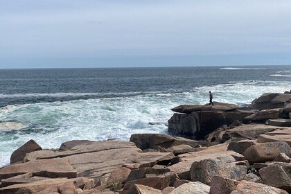 Experience Acadia: Private 3-hr tour with local guide.