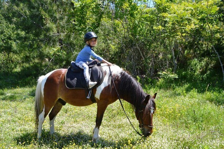 1 Hour Small Group Horse Riding Tour in Okurcalar