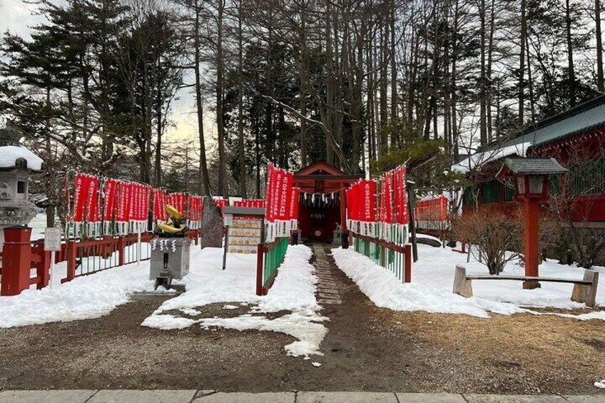 One Day Private Tour in Nikko from Tokyo