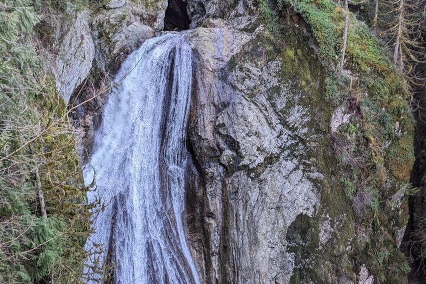 Explore Snoqualmie, Waterfalls and an Ancient Forest