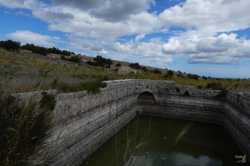 The Jazzo Lamadenza and its ancient cistern for collecting rainwater, today an important habitat for various species of amphibians and dragonflies.