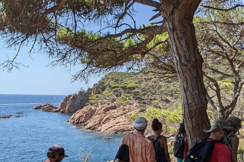 Hike and Snorkel Costa Brava Explore Medieval Tossa de Mar