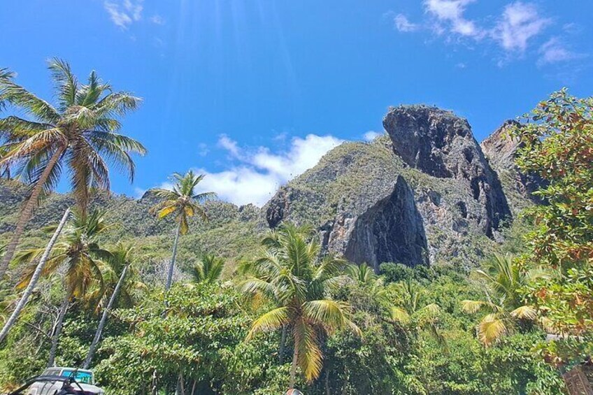 Private Full-Day Jungle to Shoreline Hiking Tour of Las Galeras