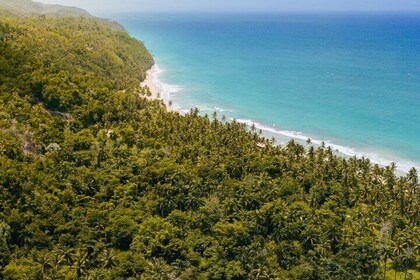 Private Full-Day Jungle to Shoreline Hiking Tour of Las Galeras