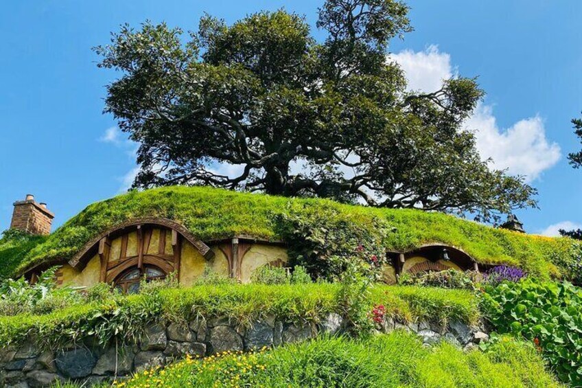 [Stevong Travel] Small Group Hobbiton Movie Set from Tauranga