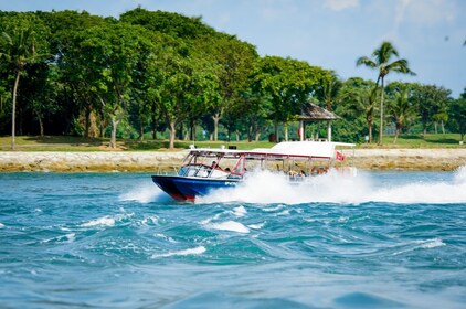 Singapour : Albatross Speedboat Adventures en croisière à Sentosa