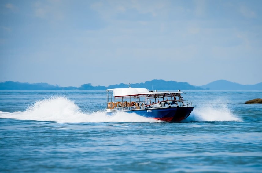 Southern Albatross Adventure - Singapore Speedboat Thrills