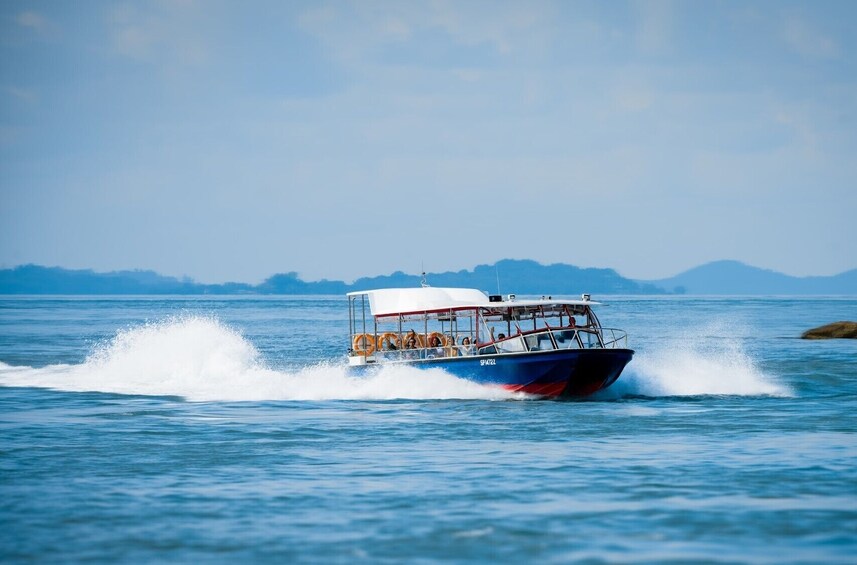 Southern Albatross Adventure - Singapore Speedboat Thrills