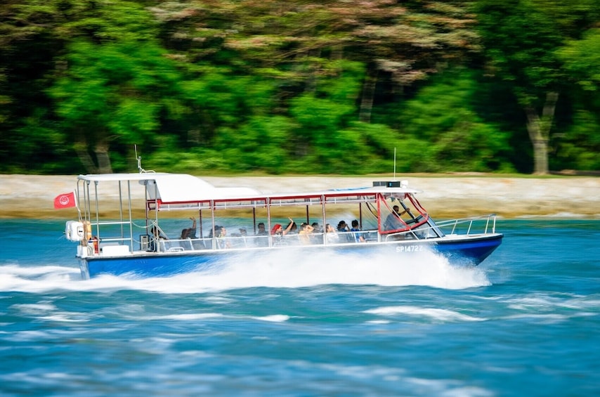 Southern Albatross Adventure - Singapore Speedboat Thrills